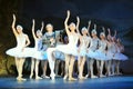 Swan Lake ballet Royalty Free Stock Photo