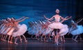 Swan Lake ballet performed by Russian Royal Ballet