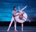 Swan Lake ballet performed by Russian Royal Ballet