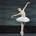 Swan lake ballet performed by russian royal ballet