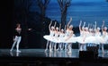 Swan lake ballet scene