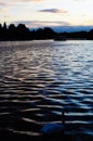 Swan on lake in Hyde Park lake, London Royalty Free Stock Photo