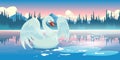 Swan on lake morning nature landscape scenery view