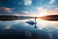 swan on a lakeswan lake Royalty Free Stock Photo