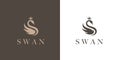 Luxury Swan Logo icon Royalty Free Stock Photo