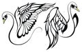 Swan logo.Swan vector icon. swan sig. Vector Illustration Vector .
