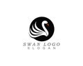 Swan logo Template vector illustration design. Royalty Free Stock Photo