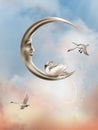 Swan in the moon