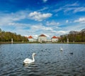 Swan and Nymphenburg Palace. Munich, Bavaria, Germany Royalty Free Stock Photo