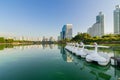 Swan paddle boat