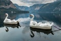 Swan paddle boats moored at Hallstatt lake in Austria