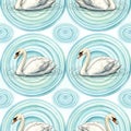 Swan Pattern with Ripples on Water Royalty Free Stock Photo