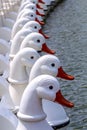 Swan pedal boat floating on the lake in park Royalty Free Stock Photo