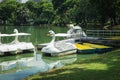 Swan pedal boat floating on the public park Royalty Free Stock Photo