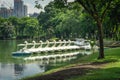 Swan pedal boat floating on the public park Royalty Free Stock Photo