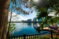 Swan pedal boats in Lake Eola shore Royalty Free Stock Photo