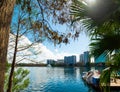 Swan pedal boats in Lake Eola shore under a shining sun Royalty Free Stock Photo