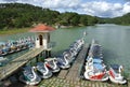 Swan Pedal Boats in the public park Royalty Free Stock Photo