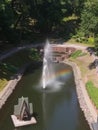 Swan pond in a landscape park - palace and park complex in Gomel