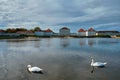 Swan in pond near Nymphenburg Palace. Munich, Bavaria, Germany Royalty Free Stock Photo