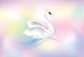 Swan princess with crown over blur multicolor gentle fairytale background. Valentine`s day holiday love passion birthday greeting
