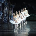 Swan queue-ballet Swan Lake Royalty Free Stock Photo