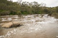 Swan River Landscape Royalty Free Stock Photo