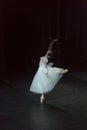 Swan`s lake ballet performance choreographed by Ukrainian artist Royalty Free Stock Photo