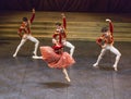 Swan`s lake ballet performance choreographed by Ukrainian artist Royalty Free Stock Photo