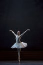 Swan`s lake ballet performance choreographed by Ukrainian artist Royalty Free Stock Photo