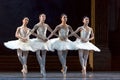 Swan`s lake ballet performance Royalty Free Stock Photo