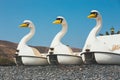 swan-shaped pedal boats on the beach Royalty Free Stock Photo