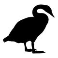 Swan silhouette 001 Royalty Free Stock Photo