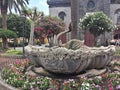 Swan stone fountain
