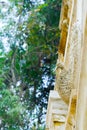 Swan stonecutting statue on the wall islated in nature background