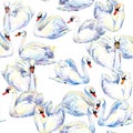 Swan. Swan Watercolor drawing. Swan flock seamless pattern. Royalty Free Stock Photo