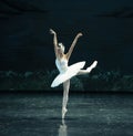 The Swan swim-ballet Swan Lake Royalty Free Stock Photo