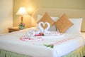Swan towel on honeymoon bed