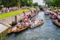 Swan Upping ceremony on the river Thames