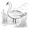 Realistic Swan Coloring Page For Children - Black And White Outline Art Royalty Free Stock Photo