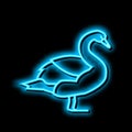 swan wild bird neon glow icon illustration