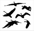 Flock of flying swans silhouettes vector set Royalty Free Stock Photo