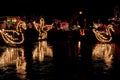 Swans in Christmas Lights At Night