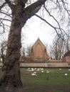 Swans in the city center of Brugge, Belgium Royalty Free Stock Photo