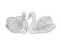 Swans coloring book for adults vector Royalty Free Stock Photo