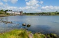 swans congregate in Rosscarbery Royalty Free Stock Photo