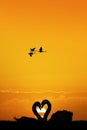 Swans couple silhouette Royalty Free Stock Photo