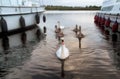 Swans between cruisers on River Shannon, Ireland