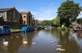 Swans cygnets Leeds Liverpool Canal Skipton