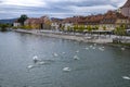 Swans on Drava River in Maribor Royalty Free Stock Photo